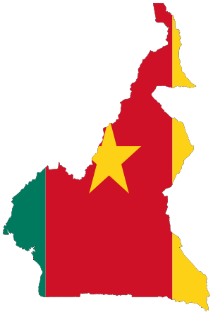 drapeau-cameroun.png